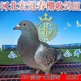 l94DKI