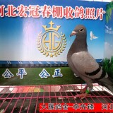 l94Jbw