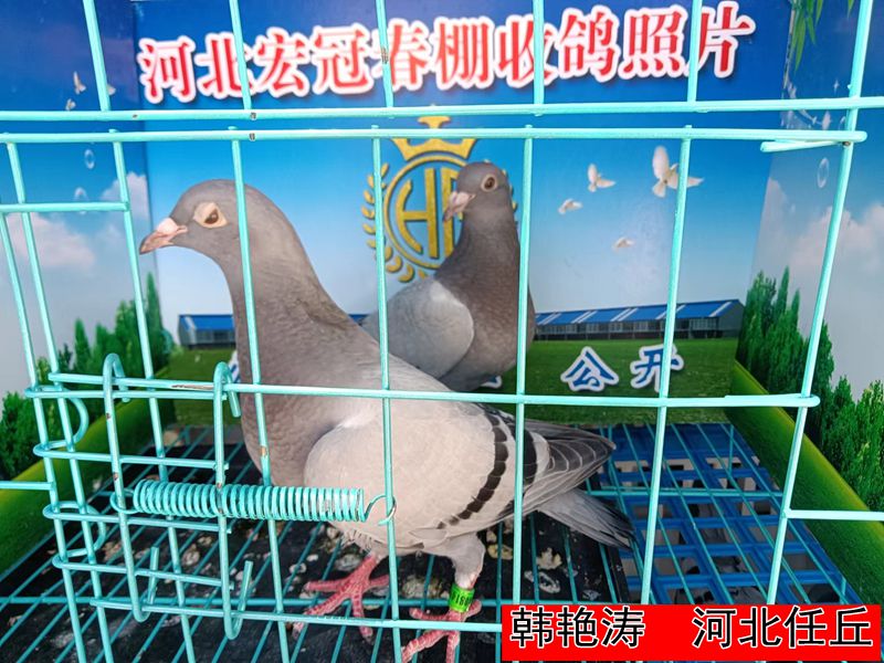 韩艳涛
