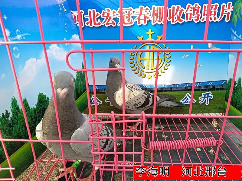 李海明