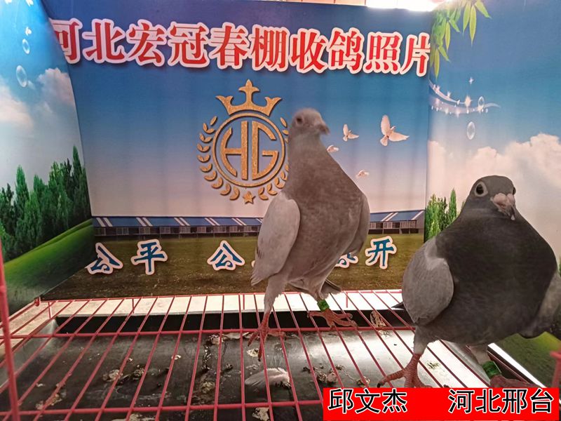 邱文杰