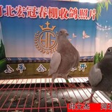 l9CPdh
