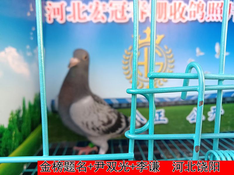 金榜题名+尹双光+李谦