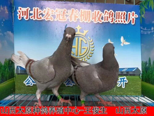 l9CiwV.jpg