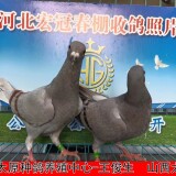 l9CiwV