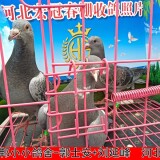 l9CkqY