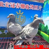l9Cnha