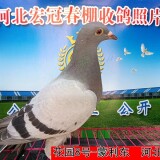l9CquL