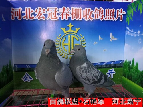 l9HBce.jpg