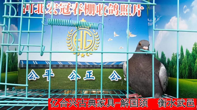 亿合兴古典家具 解国须