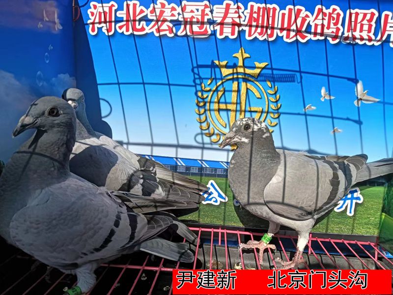 尹建新