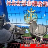 l9JAta