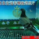 l9JBew