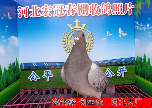l9JKsY.jpg