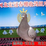 l9JKsY