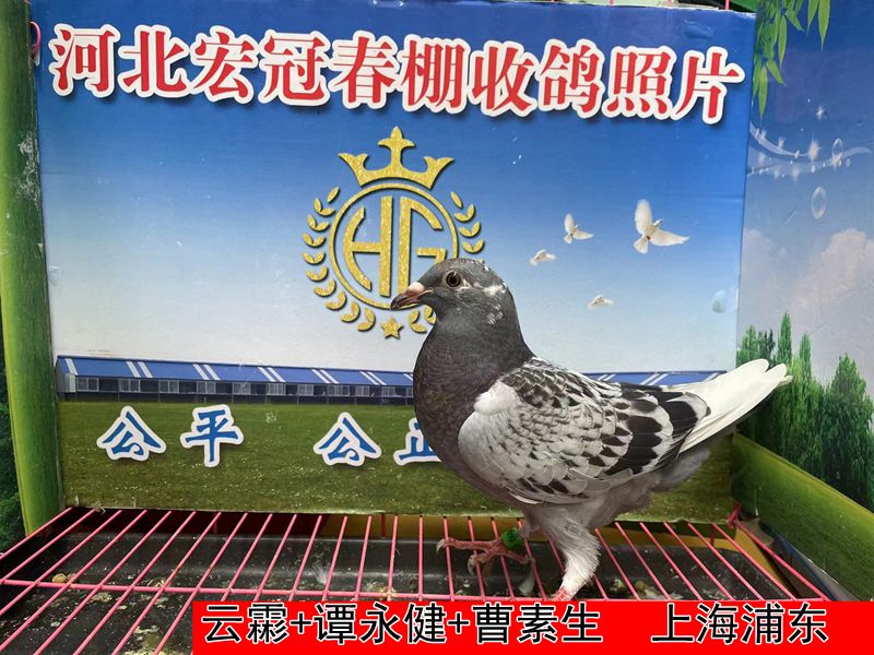 云霦+谭永健+曹素生2