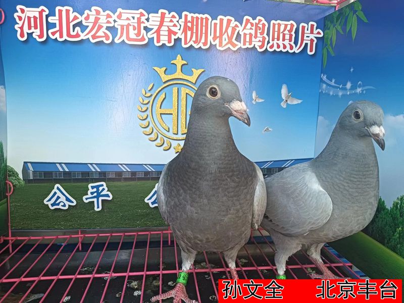 孙文全