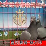 l9g7KL