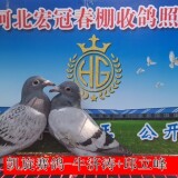 lpF9IU