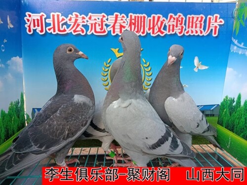 李生俱乐部 聚财阁2