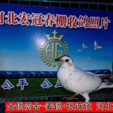 luM8gc