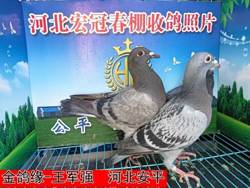 lhiuyh.jpg