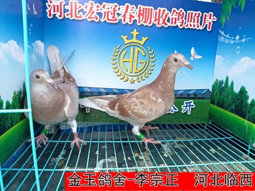 lhiysY.jpg