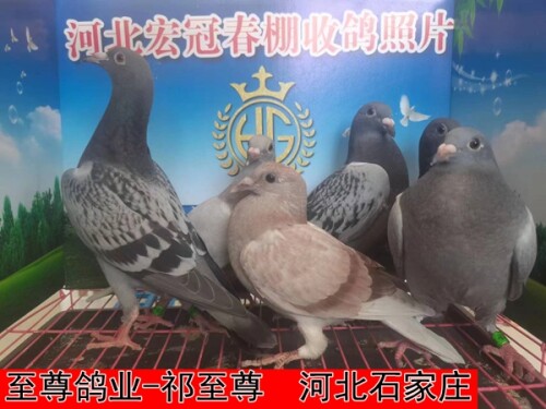 lWH9NZ.jpg