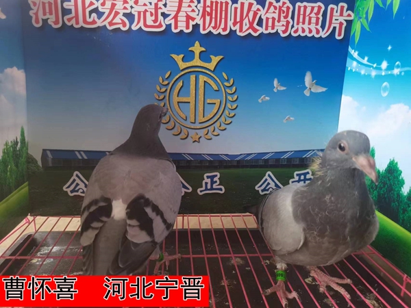 曹怀喜