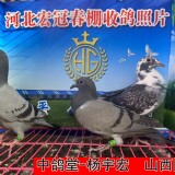 lWHp5a