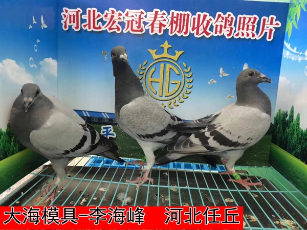 大海模具 李海峰