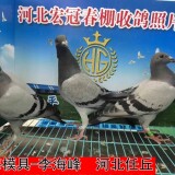 lWK073