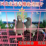 lWK4sf