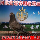 lWK5rI