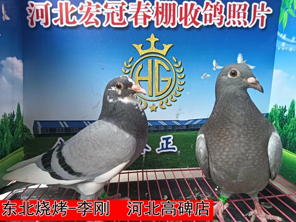 东北烧烤 李刚