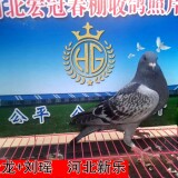 lWKQh4
