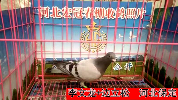 李文龙+边立松