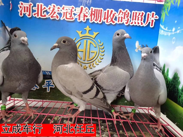 立成车行1