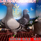 lWbwzP