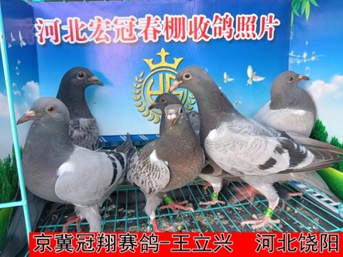 lWbxI3.jpg