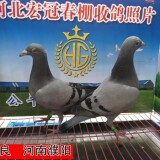 lWg9qQ