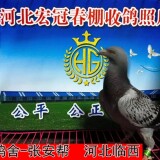 lWghg7