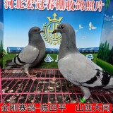 lWgvAt