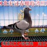 lWq8Qb