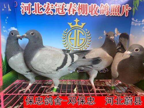 lWqEca.jpg