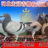 lWqEca