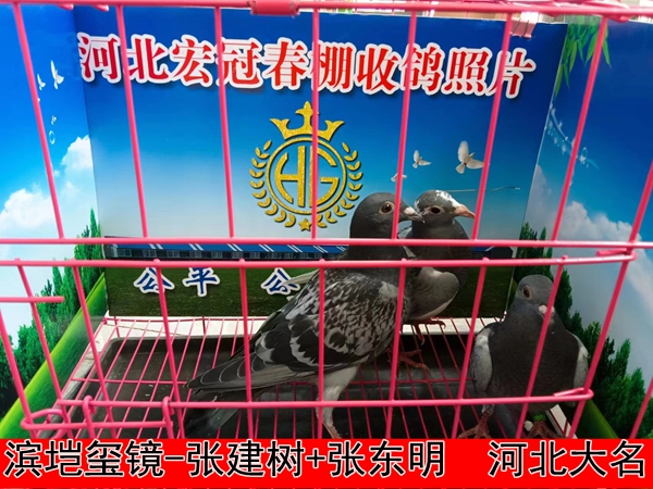 滨垲玺镜 张建树+张东明
