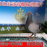 lWqdPG