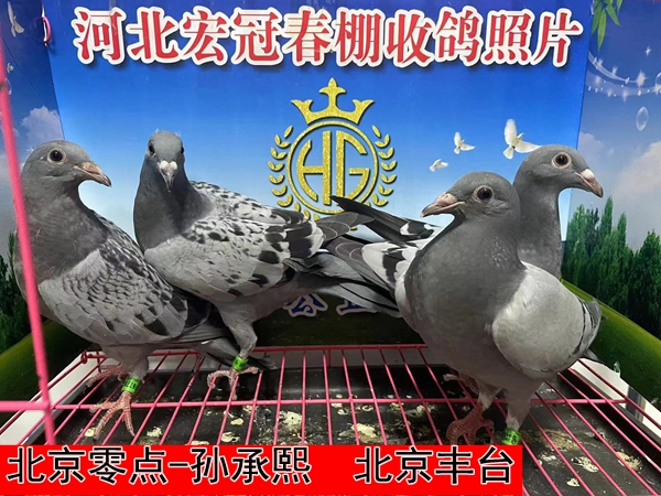 北京零点 孙承熙1