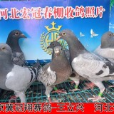 lWu4AP